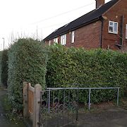 Tree and Hedge Work