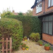 Tree and Hedge Work