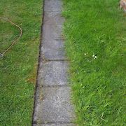 Lawn edging before