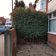 Bespoke Fence Panels Highbury Vale