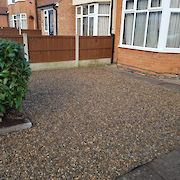 Wollaton - Conifer Removed