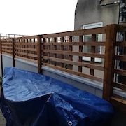 Custom Trellis Build Beeston